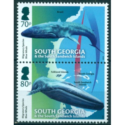 Ballenas